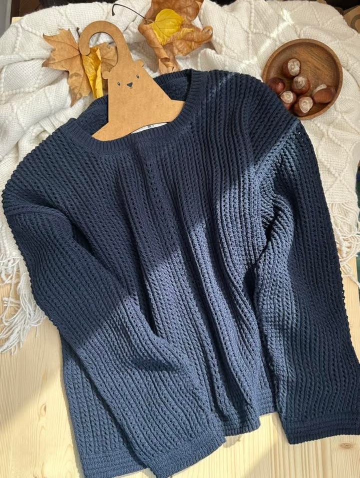 A navy blue knitted sweater is hanging on a wooden hanger, with a bowl of autumn leaves and a wooden plate of nuts nearby.