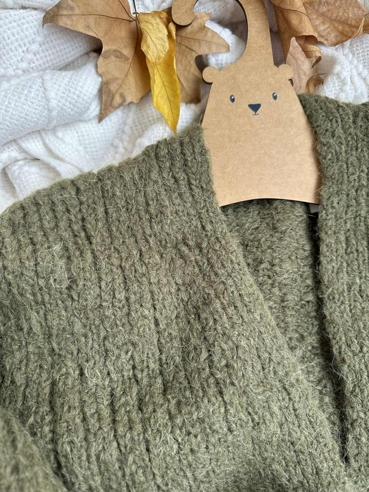 A cozy, olive green knitted sweater is hanging on a wooden hanger, with a few fallen autumn leaves nearby.