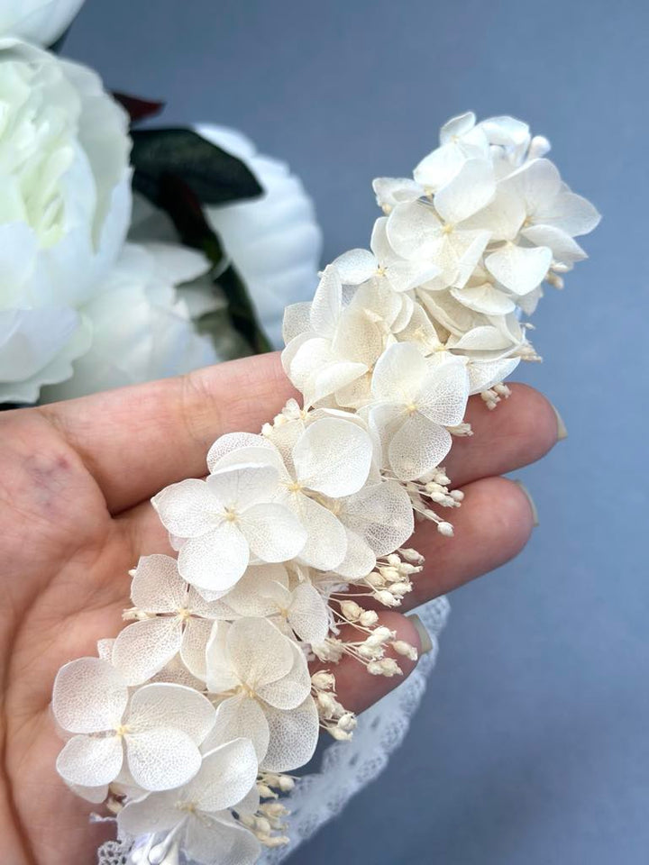 A hand holding a delicate arrangement of white, delicate flowers against a blue background.